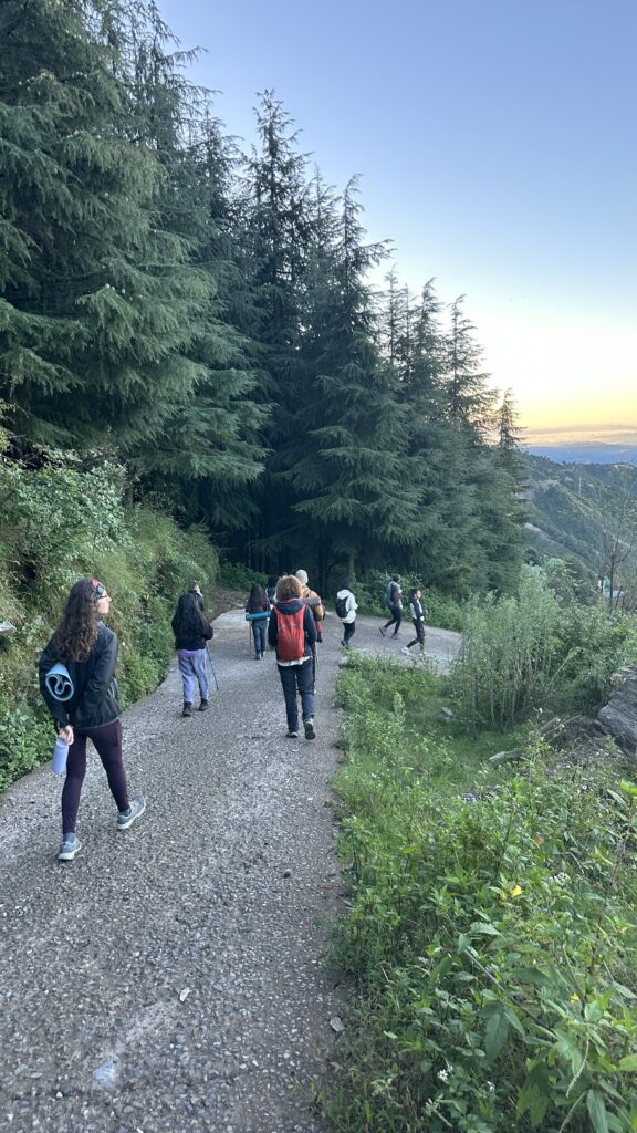 Yoga Meditation Dharamsala