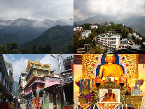 Yoga Meditation Dharamsala