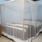 Yoga Meditation Dharamsala