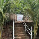 Yoga Meditation Dharamsala